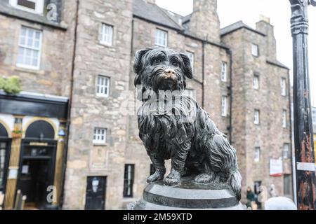 Greyfriars Bobby, cane, statua, Edimburgo, capitale, Scozia, Scozia, Regno Unito, Gran Bretagna, Regno Unito, Europa, Europa, Europa, Europa, Greyfriars Bobby (4 maggio 1855 – 14 gennaio 1872) è stato uno Skye Terrier o Dandie Dimont Terrier, conosciuto nel 19th° secolo a Edimburgo per aver trascorso 14 anni a custodire la tomba del suo proprietario fino a quando morì il 14 gennaio 1872. La storia continua ad essere ben conosciuta in Scozia, attraverso diversi libri e film. Una statua commemorativa prominente e tombe vicine sono un'attrazione turistica. Foto Stock