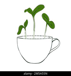 Germogli di microgreen in tazza. Cibo biologico naturale, illustrazione disegnata a mano isolata su sfondo bianco Foto Stock