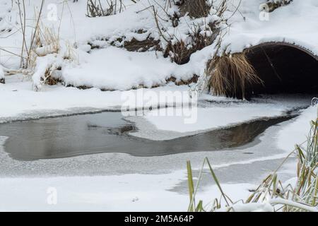 Paesaggio invernale di un ruscello che scorre da un tubo, un fiume ghiacciato con canne d'erba ricoperta di Frost e neve. Pericolo di fusione del ghiaccio. Ghiaccio sottile Foto Stock