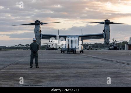 STATI UNITI Marines con Marine Medium Tiltrotor Squadron 262 (VMM-262) condurre controlli pre-volo su un MV-22B Osprey durante l'esercizio di Jungle Warfare 22 su Marine Corps Air Station Futenma, Okinawa, Giappone, 15 febbraio 2022. JWX 22 è un'esercitazione di formazione sul campo su larga scala incentrata sull'utilizzo delle capacità integrate di partner congiunti e alleati per rafforzare la consapevolezza, la manovra e gli incendi in tutti i settori in un ambiente marittimo distribuito. Foto Stock