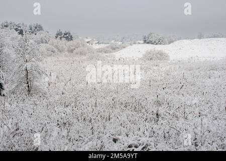 Paesaggio invernale nel villaggio di Rakov, alberi, case e la chiesa sono coperti di neve. Foto Stock