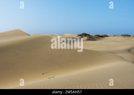 Dune di Maspalomas nell'isola di Gran Canaria, Spagna Foto Stock