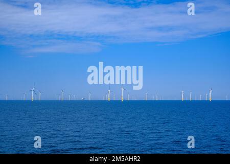 Grande parco eolico offshore nel Mar Baltico tra Rügen, Germania, e Bornholm, Danimarca. Foto Stock