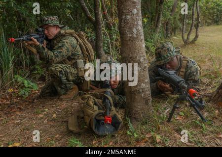 STATI UNITI Marines with Combat Logistics Company Alpha, Combat Logistics Battalion 3, Combat Logistics Regiment 3, stare in guardia e fornire la sicurezza per Landing zone Dodo durante l'esercizio di Jungle Warfare 22, 16 febbraio 2022, Okinawa, Giappone. JWX è un'esercitazione di formazione sul campo su larga scala incentrata sull'utilizzo delle capacità integrate di partner congiunti e alleati per rafforzare la consapevolezza, la manovra e gli incendi in tutti i settori in un ambiente marittimo distribuito. La CLC-A viene distribuita in futuro nell'Indo-Pacifico sotto il Battaglione Logistica di Combat 4. Foto Stock