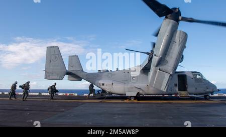 OCEANO PACIFICO (16 febbraio 2022) i Marines assegnati alla 11th Marine Expeditionary Unit (MEU) imbarcano un MV-22B Osprey collegato a Marine Medium Tiltrotor Squadron (VMM) 165 (rinforzato), 11th MEU, a bordo di Essex durante le operazioni di volo, 16 febbraio 2022. Marinai e marines dell'Essex Amphhibious Ready Group (ARG) e del 11th MEU stanno conducendo operazioni di routine nella U.S. 3rd Fleet. Foto Stock