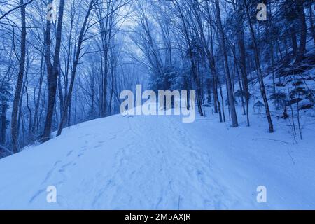 La strada degli autobus vicino al Ponte coperto di Fiume in Franconia Notch, New Hampshire coperto di neve prima dell'alba in una mattina d'inverno. Foto Stock