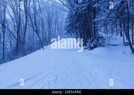 La strada degli autobus vicino al Ponte coperto di Fiume in Franconia Notch, New Hampshire coperto di neve prima dell'alba in una mattina d'inverno. Foto Stock