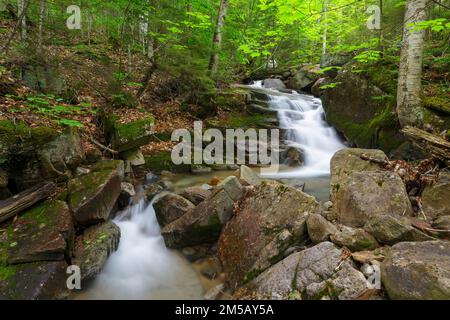 Cascata su un ruscello senza nome in Franconia Notch, New Hampshire durante i mesi di primavera. Foto Stock