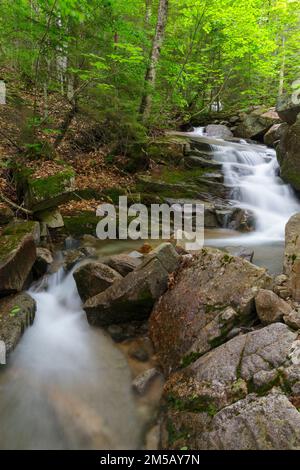 Cascata su un ruscello senza nome in Franconia Notch, New Hampshire durante i mesi di primavera. Foto Stock