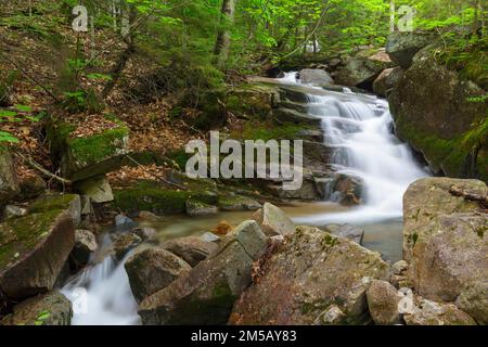 Cascata su un ruscello senza nome in Franconia Notch, New Hampshire durante i mesi di primavera. Foto Stock