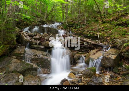 Cascata su un ruscello senza nome in Franconia Notch, New Hampshire durante i mesi di primavera. Foto Stock