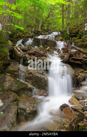 Cascata su un ruscello senza nome in Franconia Notch, New Hampshire durante i mesi di primavera. Foto Stock