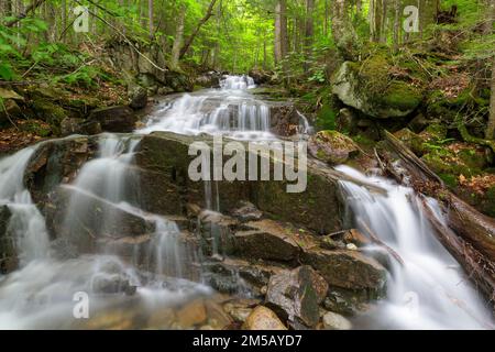 Cascata su un ruscello senza nome in Franconia Notch, New Hampshire durante i mesi di primavera. Foto Stock