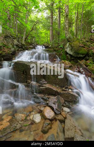 Cascata su un ruscello senza nome in Franconia Notch, New Hampshire durante i mesi di primavera. Foto Stock