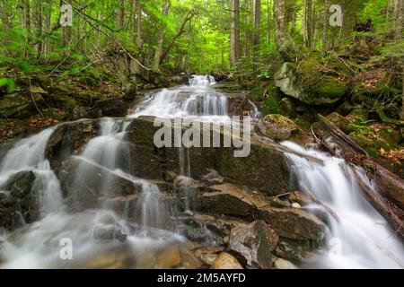 Cascata su un ruscello senza nome in Franconia Notch, New Hampshire durante i mesi di primavera. Foto Stock