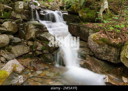 Cascata su un ruscello senza nome in Franconia Notch, New Hampshire durante i mesi di primavera. Foto Stock