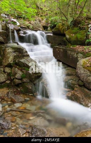 Cascata su un ruscello senza nome in Franconia Notch, New Hampshire durante i mesi di primavera. Foto Stock