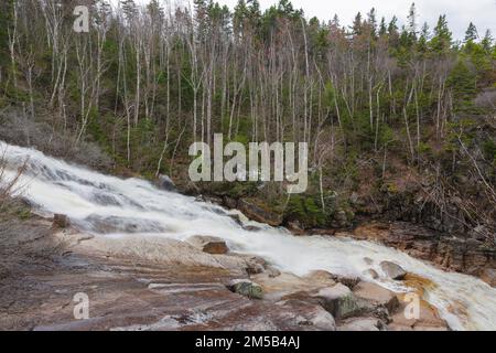 Cascate di Thoreau sulla diramazione nord del fiume Pemigewasset nella riserva naturale di Pemigewasset a Lincoln, New Hampshire, dopo forti piogge. Foto Stock