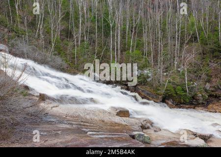 Cascate di Thoreau sulla diramazione nord del fiume Pemigewasset nella riserva naturale di Pemigewasset a Lincoln, New Hampshire, dopo forti piogge. Foto Stock