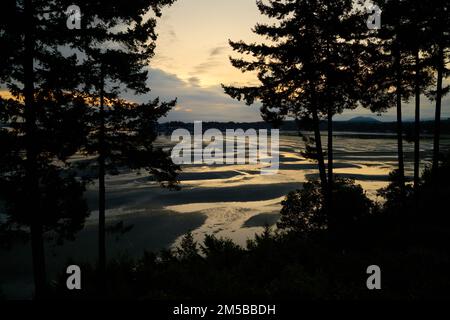 Parksville Beach Sunrise Vancouver Island. Alba con la bassa marea a Craig Bay, Parksville, British Columbia. Foto Stock