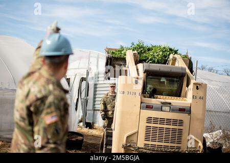 I soldati della guardia nazionale dell'esercito dell'Oklahoma usano una minipala per spostare le piante di marijuana durante un'operazione multi-agenzia guidata dall'Oklahoma Bureau of Narcotics in un luogo di crescita illegale nella regione meridionale dell'Oklahoma, il 22 febbraio 2022. Su richiesta dell'Oklahoma Bureau of Narcotics, tramite l'Oklahoma Office of Emergency Management, Il governatore Stitt ha autorizzato la Guardia Nazionale dell'Oklahoma ad attivare i membri della Guardia per fornire assistenza tecnica e logistica e per fornire esperienza nell'identificazione di materiali pericolosi associati al sequestro di una serie di marijuana illegale o non registrata Foto Stock