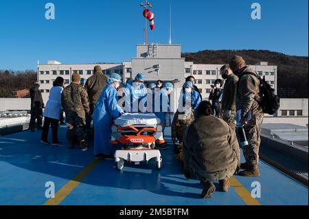 I membri del servizio e i professionisti medici si preparano a sollevare un paziente su un gurney durante un evento di risposta al trauma congiunto presso l'Armed Forces Capital Hospital, Repubblica di Corea, 24 febbraio 2022. Ai partecipanti all'evento sono stati continuamente forniti aggiornamenti relativi alle condizioni del paziente, come l'assunzione di ossigeno e la frequenza cardiaca, per simulare uno scenario di risposta reale. Foto Stock