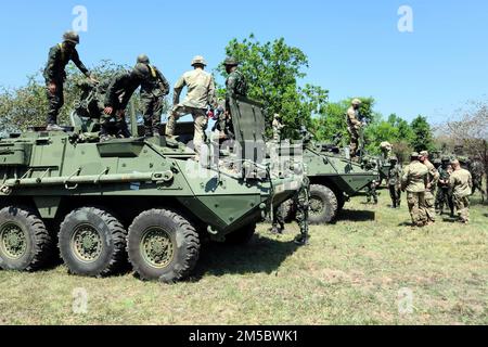 I soldati con 4th battaglione, 23rd Fanteria, 2nd squadra di combattimento della Brigata Striker, 2nd Divisione Fanteria, effettuano controlli di manutenzione preventiva e classi di servizio per M1126 veicoli Striker con soldati del 112th Regimento Fanteria, Royal Thai Army, 22 febbraio 2022 durante il giorno uno di Cobra Gold 2022. Cobra Gold 2022 è l'iterazione 41st dell'esercitazione internazionale di addestramento che sostiene la preparazione e sottolinea il coordinamento sull'azione civica, sull'assistenza umanitaria e sul soccorso in caso di catastrofi. Dal 22 febbraio al 4 marzo 2022, questo evento annuale di sicurezza teatrale si svolge in varie località Foto Stock