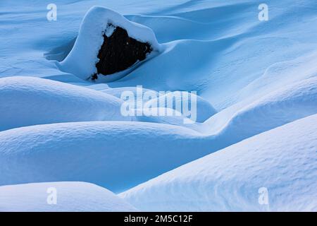 Massi innevati in un paesaggio innevato, Parco Nazionale di Thingvellir, cerchio d'Oro, Sudurland, Islanda Foto Stock