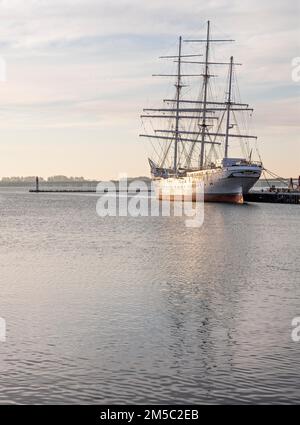 Nave museo Gorch Fock nel porto, nave vela, Stralsund, Meclemburgo-Pomerania occidentale, Germania Foto Stock