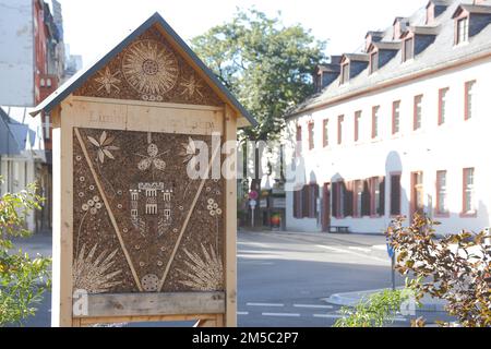 Hotel Bee con stemma cittadino di fronte al monastero di Wilhelmiten, la città vecchia, Limburgo, Assia, Germania Foto Stock