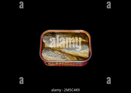 Sardine spagnole raccolte a mano, sott'olio d'oliva, fotografia del cibo con sfondo nero Foto Stock