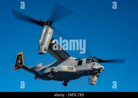 OCEANO PACIFICO (28 febbraio 2022) una MV-22B Osprey collegata a Marine Medium Tiltrotor Squadron (VMM) 165 (rinforzato), 11th Marine Expeditionary Unit (MEU), conduce operazioni di volo a bordo di una nave d'assalto anfibio di classe Wasp USS Essex (LHD 2), 28 febbraio 2022. Marinai e marines dell'Essex Amphhibious Ready Group (ARG) e del 11th MEU stanno conducendo operazioni di routine nella U.S. 3rd Fleet. Foto Stock