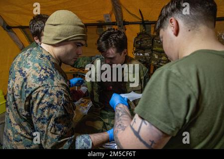 Un membro del servizio dell'esercito norvegese e degli Stati Uniti I marinai della Marina con 2nd Marine Aircraft Wing, II Marine Expeditionary Force, trattano le ferite di un incidente simulato alla base militare norvegese di Setermoen, Norvegia, 1 marzo 2022. Exercise Cold Response ’22 è un esercizio biennale che si svolge in tutta la Norvegia, con la partecipazione di ciascuno dei suoi servizi militari, nonché di altre 26 nazioni alleate e partner regionali della North Atlantic Treaty Organization (NATO). Foto Stock