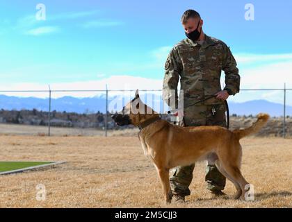 STATI UNITI Blake Krayenhagen, un operatore militare di cane del 460th Squadron delle forze di sicurezza, esegue esercizi di addestramento con il suo cane, Sego, 1 marzo 2022, presso i Security Forces Kennels sulla base della forza spaziale di Buckley, Colon. I movimentatori MWD garantiscono sicurezza e sicurezza eseguendo attività di sniffing di farmaci e bombe in tutta l'installazione. Foto Stock