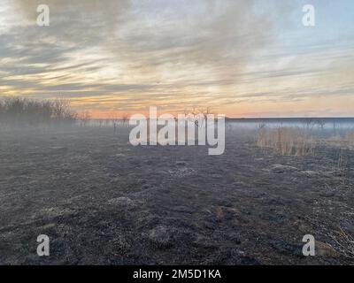 LEWISVILLE, Texas (2 marzo 2022) i vigili del fuoco e le agenzie partner combattono contro un'area di prateria bruciata sotto la diga del lago Lewisville. Un incendio prescritto è stato avviato presso la Lewisville Lake Environmental Learning Area a Lewisville Lake nel tentativo di creare, ripristinare e rivitalizzare praterie sotto la diga di Lewisville. Si presume che questo incendio sia stato controllato prima delle 12:00, ma a causa di cambiamenti del vento e delle condizioni meteorologiche, l'incendio è sfuggito alla sua area prevista. Vigili del fuoco di Fiore Mound, Frisco e diverse altre città circostanti hanno risposto alle richieste di aiuto reciproco con i camion spazzoloni per aiutare la contata Foto Stock