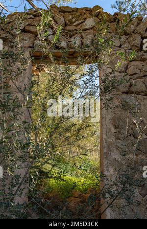 Ingresso di una terra rurale abbandonata, fatta con la tecnica della pietra a secco, marge, tipico dell'isola di Maiorca, Spagna Foto Stock