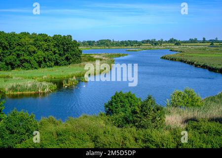 Paesaggio fluviale del meandro fiume Peene nella valle di Peene vicino Randow, città anseatica di Demmin, Meclemburgo-Pomerania occidentale, Germania. Foto Stock