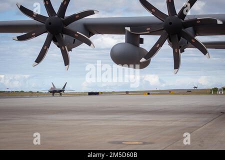 NEGLI STATI UNITI Air Force F-22 Raptor Aircraft dal 19th Fighter Squadron taxi a Marine Corps Air Station Kanehoe Bay, Hawaii durante un esercizio di allenamento. Gli F-22s sono stati caricati con combustibile che è stato scaricato da un aereo della Guardia Nazionale dell'aria del Nevada C-130 Hercules. Foto Stock