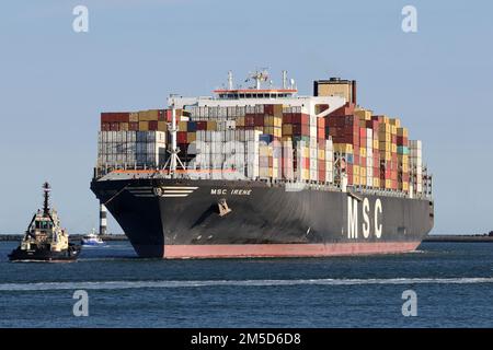 La nave container MSC Irene arriva nel porto di Rotterdam il 31 agosto 2022. Foto Stock