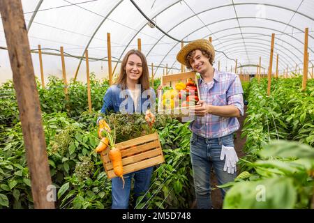 Allegri lavoratori serra che mostrano fuori il raccolto di verdure Foto Stock