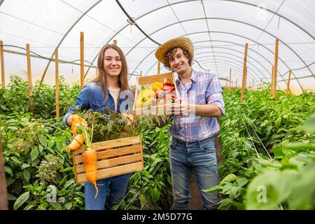 Lavoratori gioiosi serra che mostrano fuori il raccolto di verdure Foto Stock