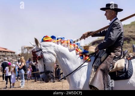 Cavaliere andaluso che offre una mostra di tradizionale cavaliere e spettacolo di danza montato alla musica al giorno di trebbiatura, dia de la trilla al Foto Stock