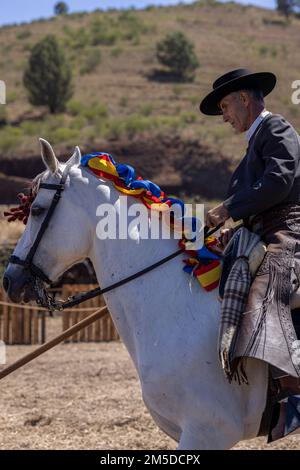Cavaliere andaluso che offre una mostra di tradizionale cavaliere e spettacolo di danza montato alla musica al giorno di trebbiatura, dia de la trilla al Foto Stock