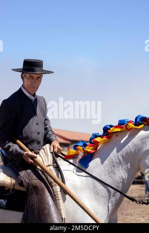Cavaliere andaluso che offre una mostra di tradizionale cavaliere e spettacolo di danza montato alla musica al giorno di trebbiatura, dia de la trilla al Foto Stock