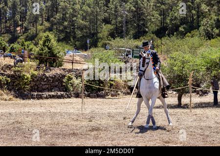 Cavaliere andaluso che offre una mostra di tradizionale cavaliere e spettacolo di danza montato alla musica al giorno di trebbiatura, dia de la trilla al Foto Stock