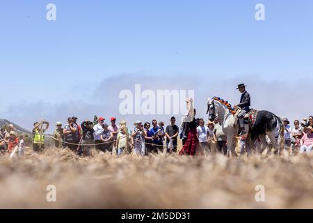 Cavaliere andaluso che offre una mostra di tradizionale cavaliere e spettacolo di danza montato alla musica al giorno di trebbiatura, dia de la trilla al Foto Stock