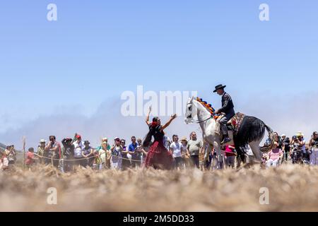 Cavaliere andaluso che offre una mostra di tradizionale cavaliere e spettacolo di danza montato alla musica al giorno di trebbiatura, dia de la trilla al Foto Stock