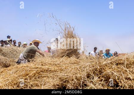 Uomini e donne gettano il mais raccolto sul cerchio di trebbiatura in preparazione per l'inizio della trebbiatura, giorno di trebbiatura, dia de la trilla al Eco Foto Stock