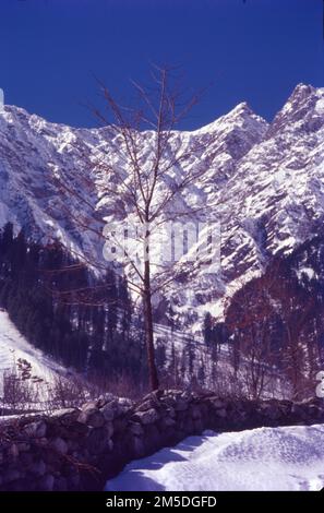 Manali è una località turistica ad alta quota dell'Himalaya, nello stato settentrionale dell'Himachal Pradesh. Ha una reputazione come centro di backpacking e destinazione di luna di miele. Situato sul fiume Beas, è un punto di accesso per sciare nella Valle di Solang e fare trekking nella Valle di Parvati. È anche un punto di partenza per il parapendio, il rafting e l'alpinismo sulle montagne del PIR Panjal, sede del Passo Rohtang alto 4.000m metri. Foto Stock