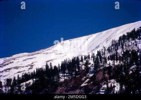 Manali è una località turistica ad alta quota dell'Himalaya, nello stato settentrionale dell'Himachal Pradesh. Ha una reputazione come centro di backpacking e destinazione di luna di miele. Situato sul fiume Beas, è un punto di accesso per sciare nella Valle di Solang e fare trekking nella Valle di Parvati. È anche un punto di partenza per il parapendio, il rafting e l'alpinismo sulle montagne del PIR Panjal, sede del Passo Rohtang alto 4.000m metri. Foto Stock